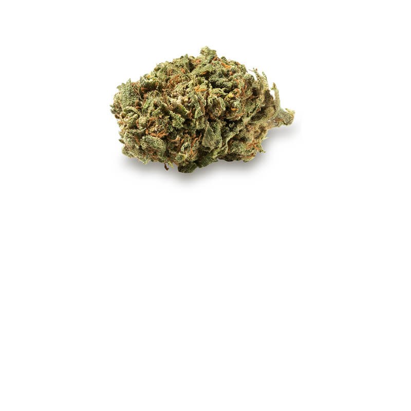 Dispensary Logo